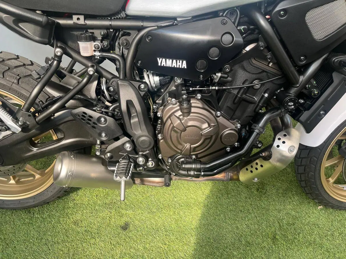 Yamaha XSR 700 XTribute (2022 - 24) (7)