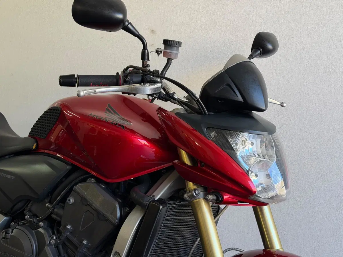 Honda Hornet 600 (2007 - 10) (5)