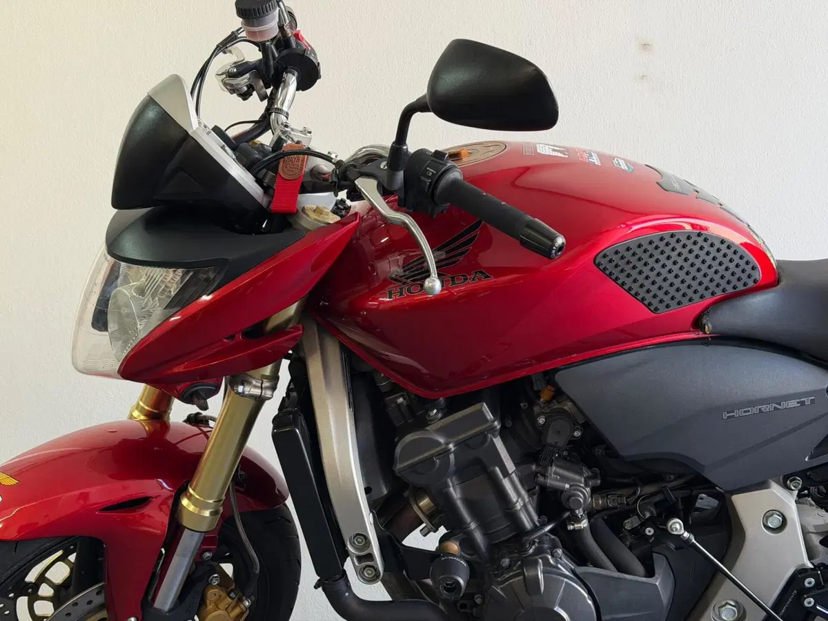 Honda Hornet 600 (2007 - 10) (8)