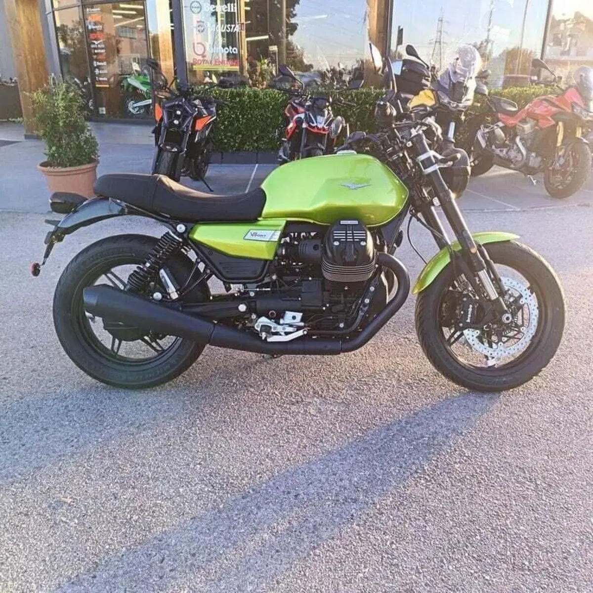 Moto Guzzi V7 Sport (2025 - 26) (4)