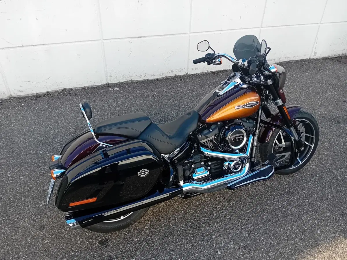 Harley-Davidson 107 Sport Glide (2018 - 20) (3)