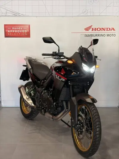 Honda Transalp XL750 (2025) usata