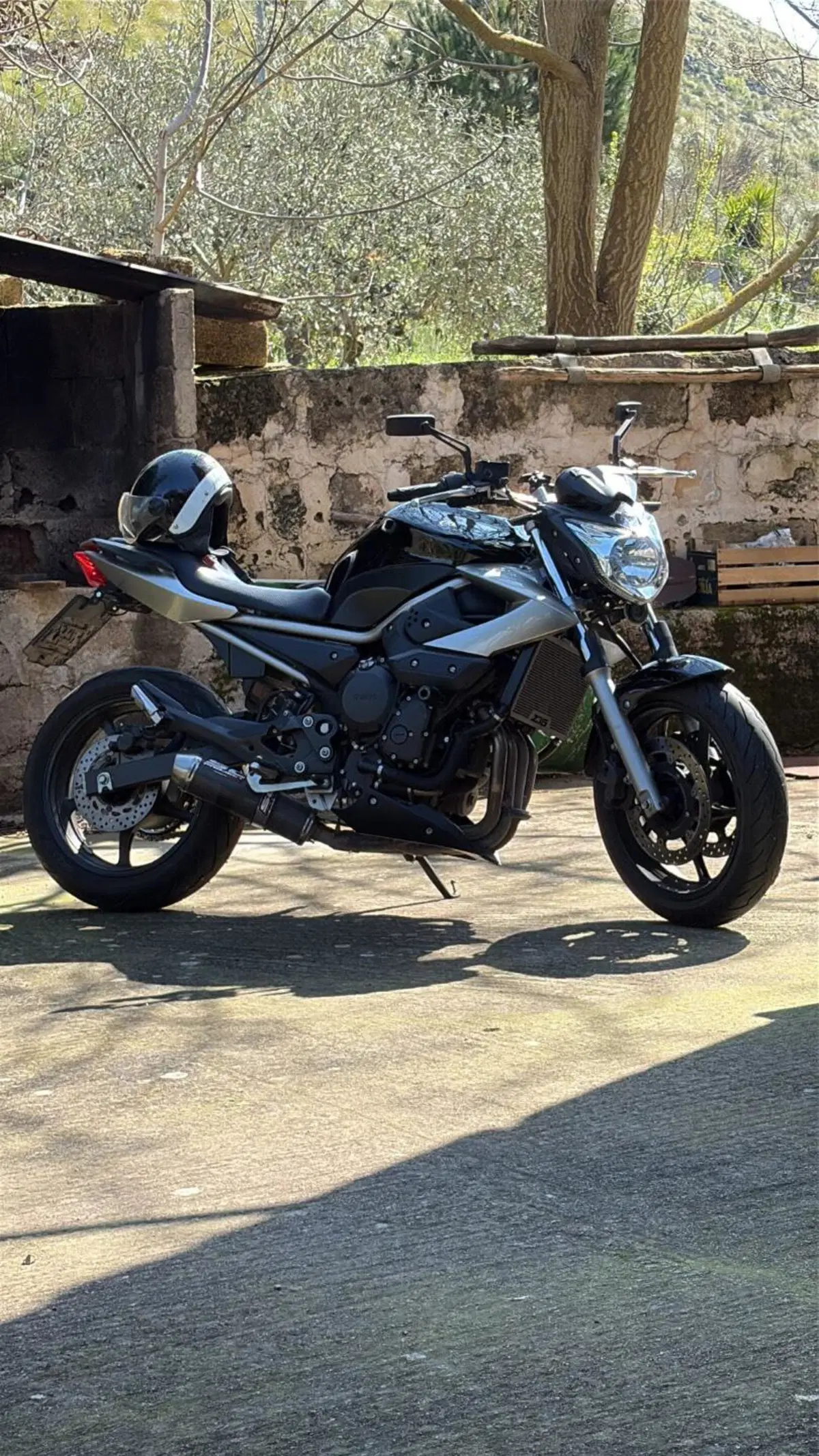 Yamaha XJ6 (2008 - 15) (5)