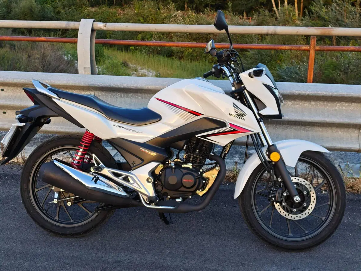 Honda CB 125 F (2017 - 20) (2)