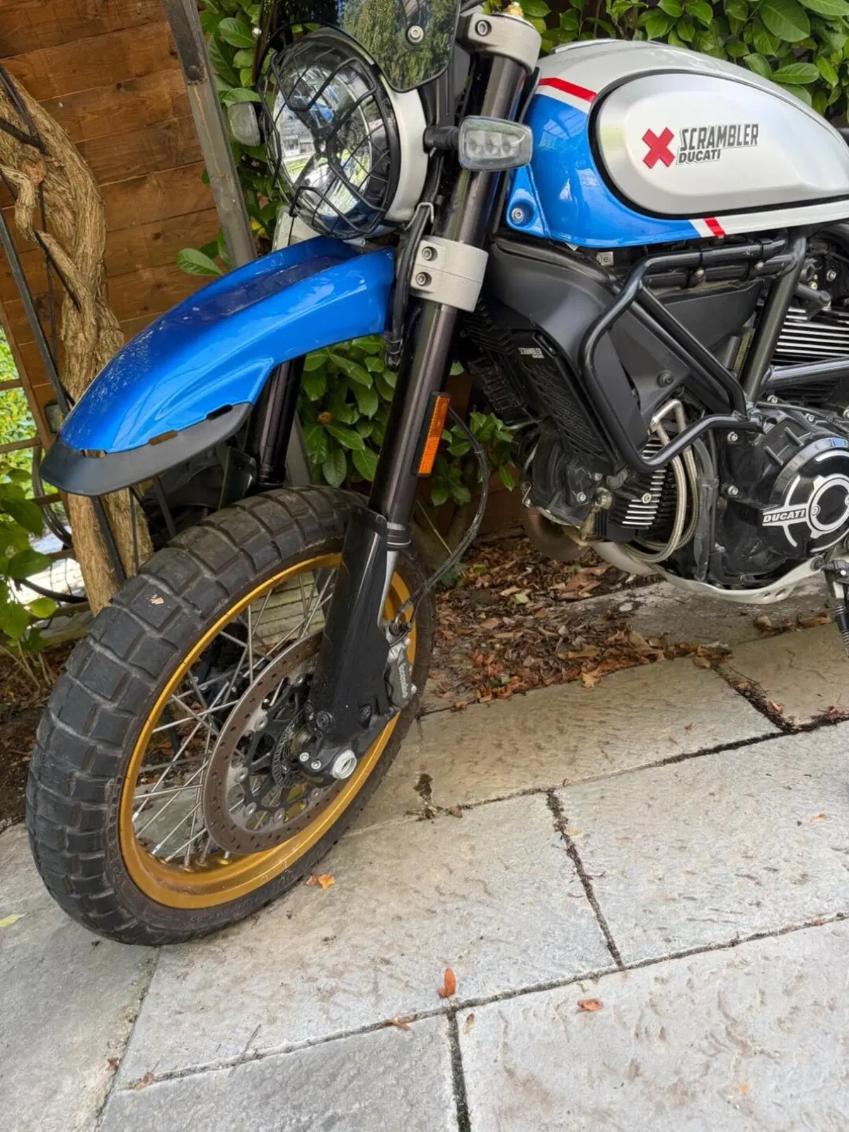 Ducati Scrambler 800 Desert Sled (2021 - 22) (4)