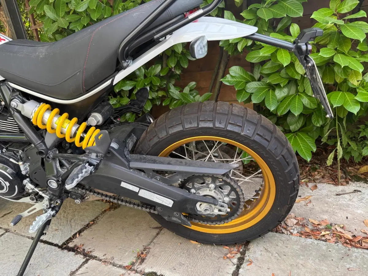 Ducati Scrambler 800 Desert Sled (2021 - 22) (5)