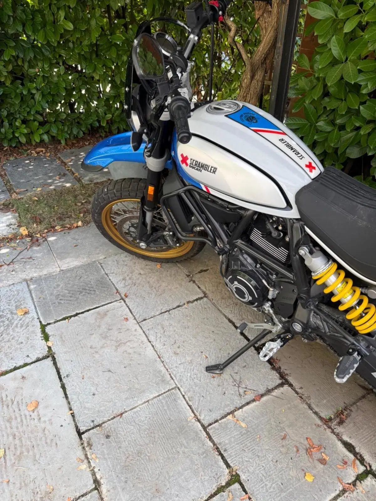 Ducati Scrambler 800 Desert Sled (2021 - 22) (6)