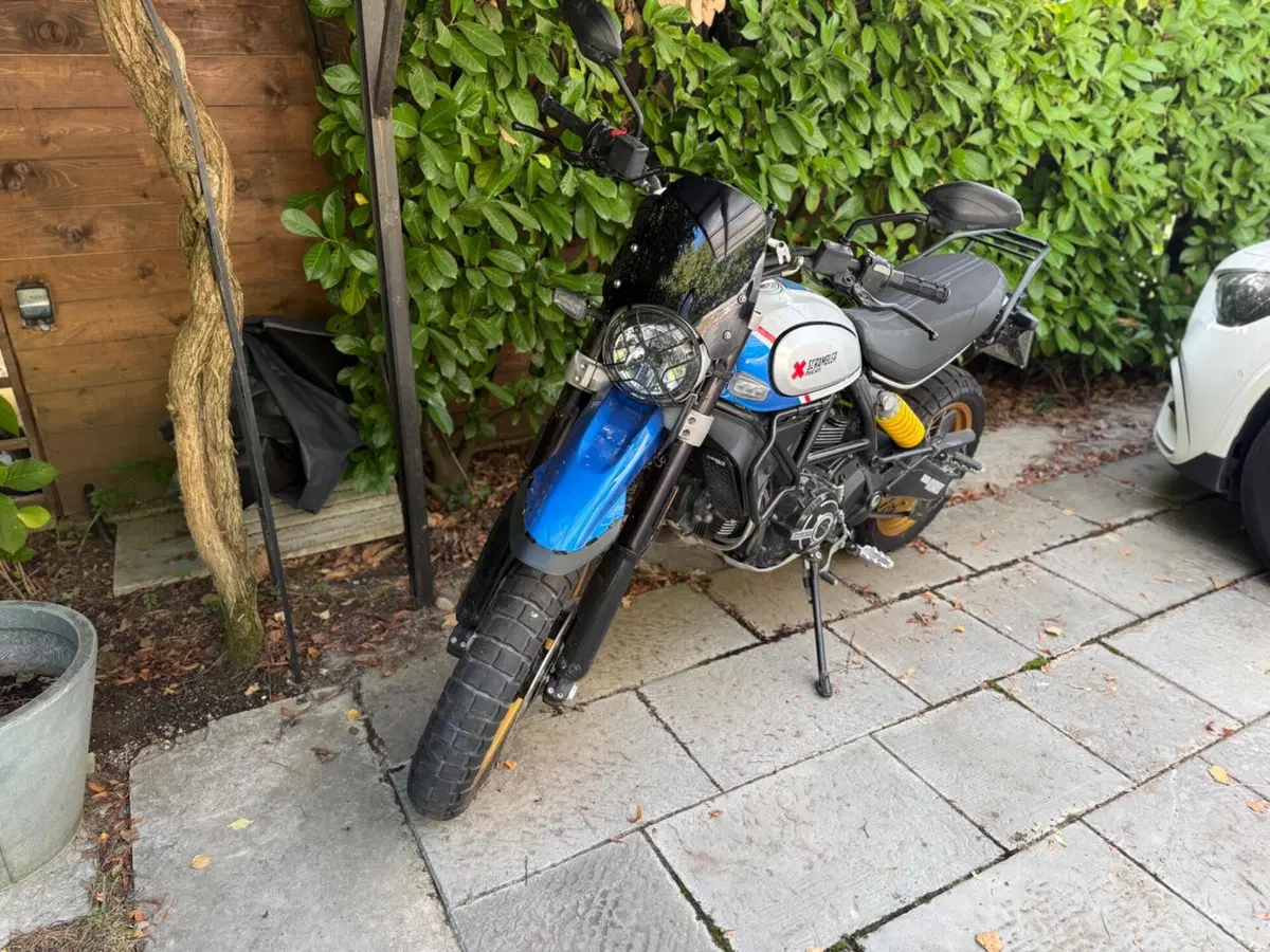 Ducati Scrambler 800 Desert Sled (2021 - 22) (7)
