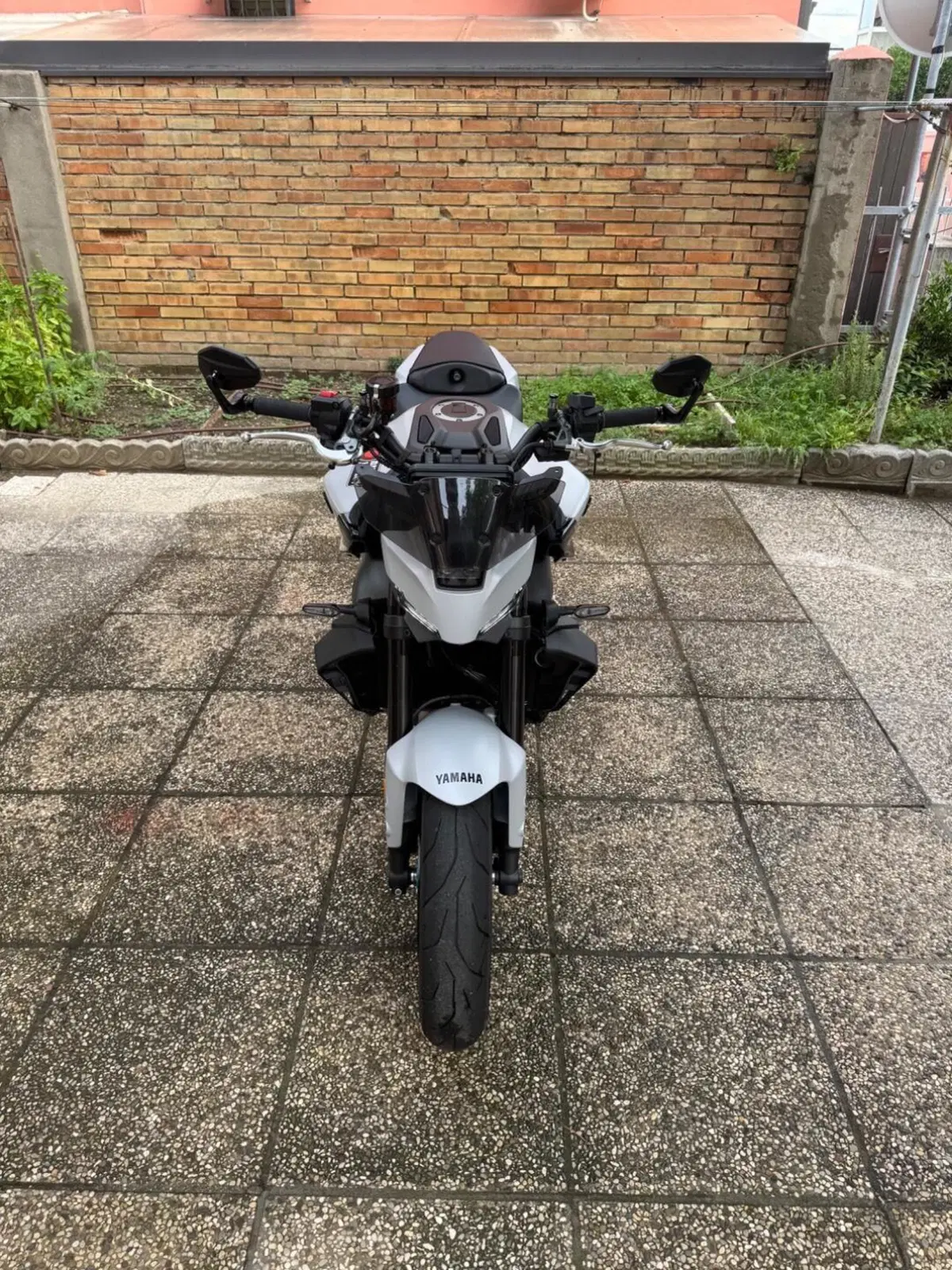 Yamaha MT-09 (2024 - 26) (13)
