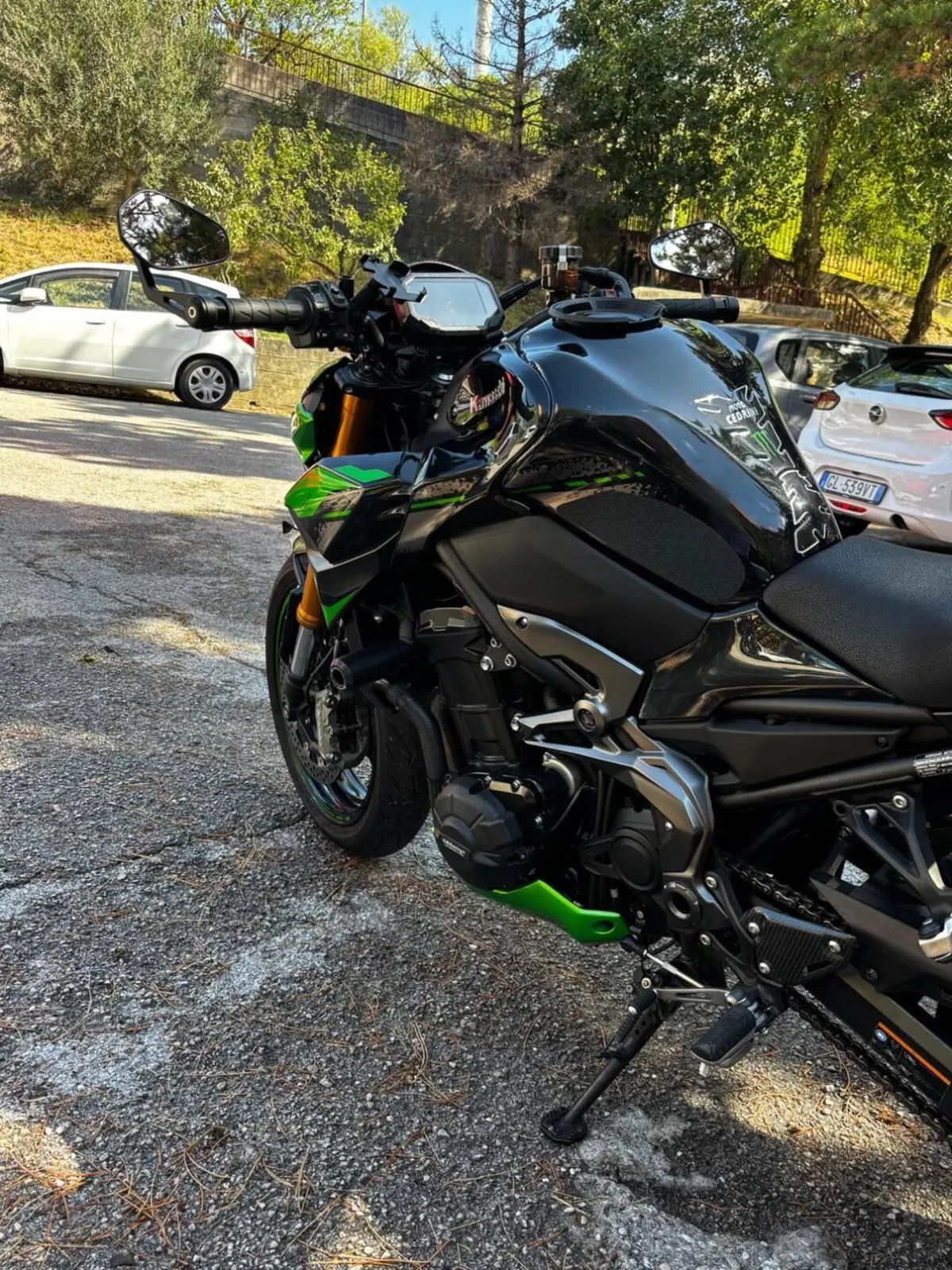 Kawasaki Z 900 SE Performance (2023 - 24) (10)