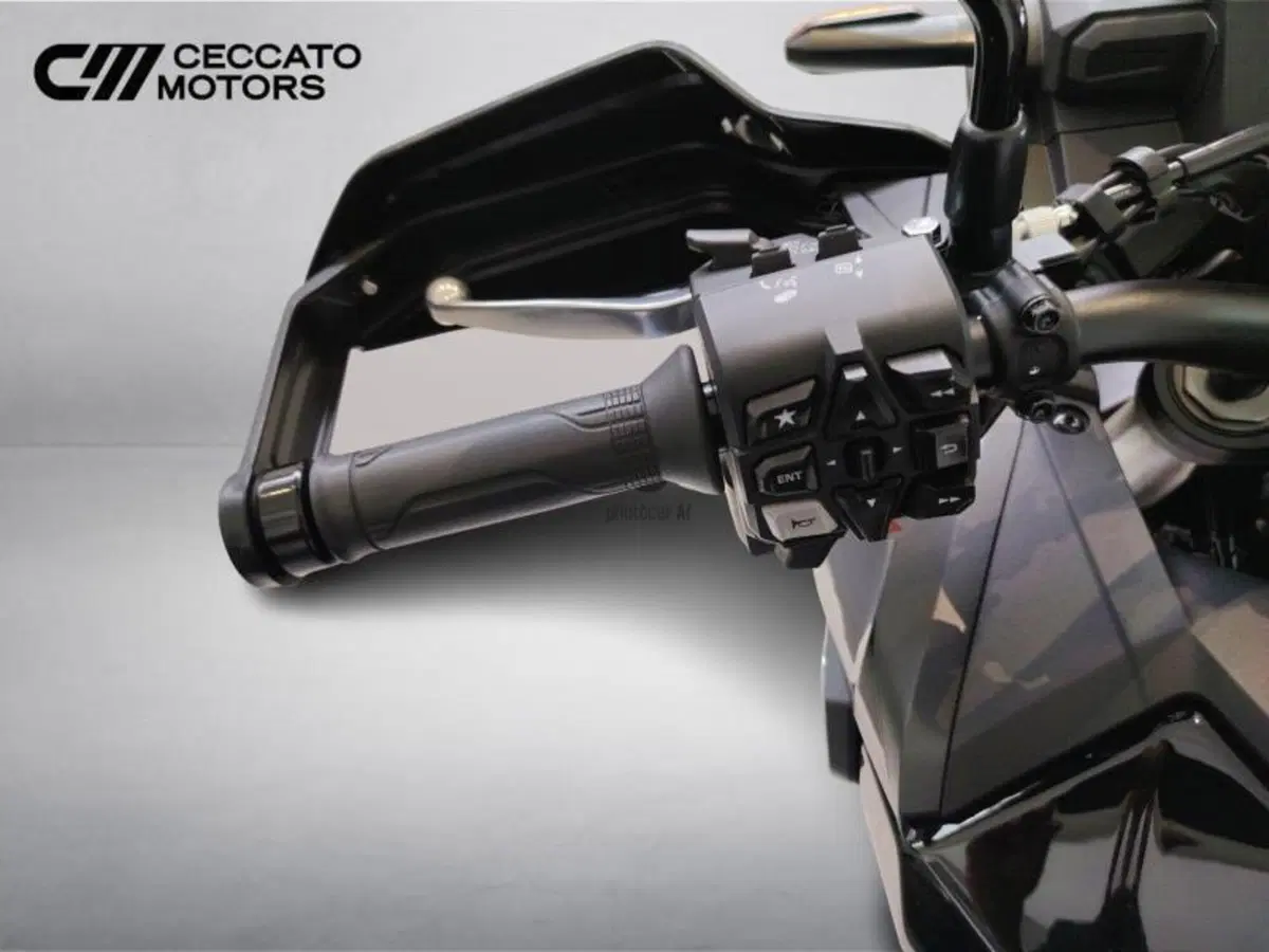 Honda Africa Twin CRF 1100L (2024 - 26) (10)