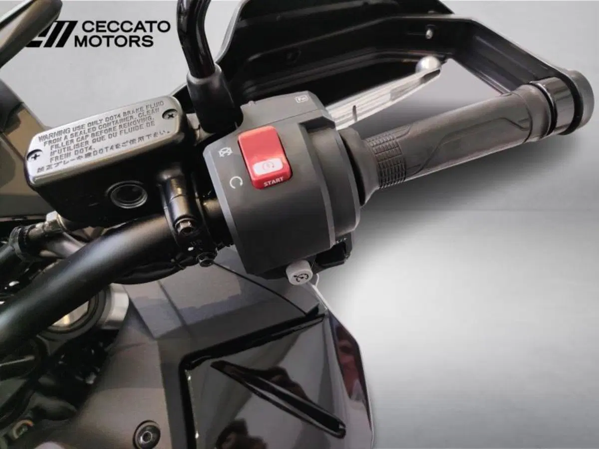 Honda Africa Twin CRF 1100L (2024 - 26) (9)