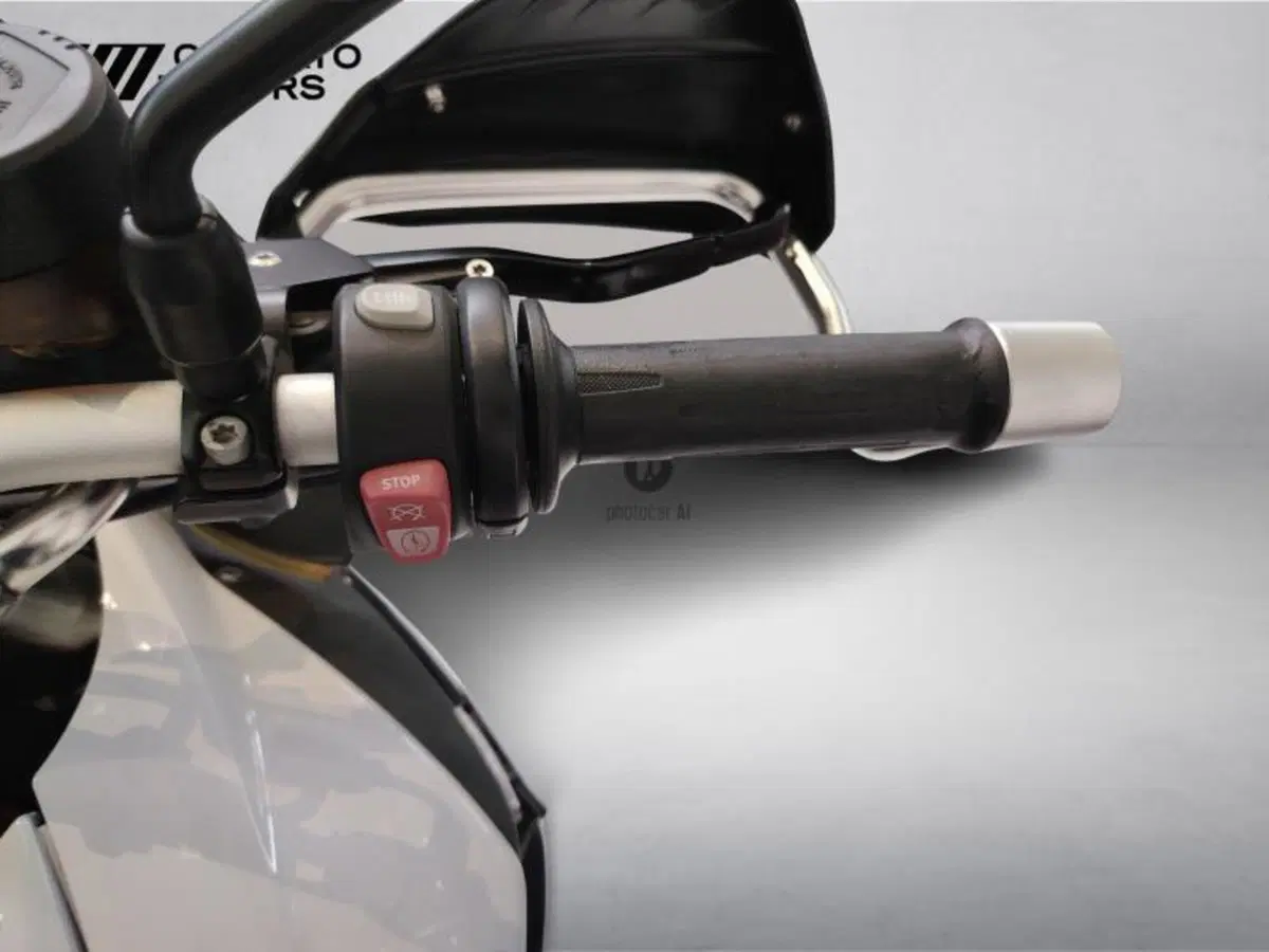 Bmw F 800 GS (2008 - 15) (10)