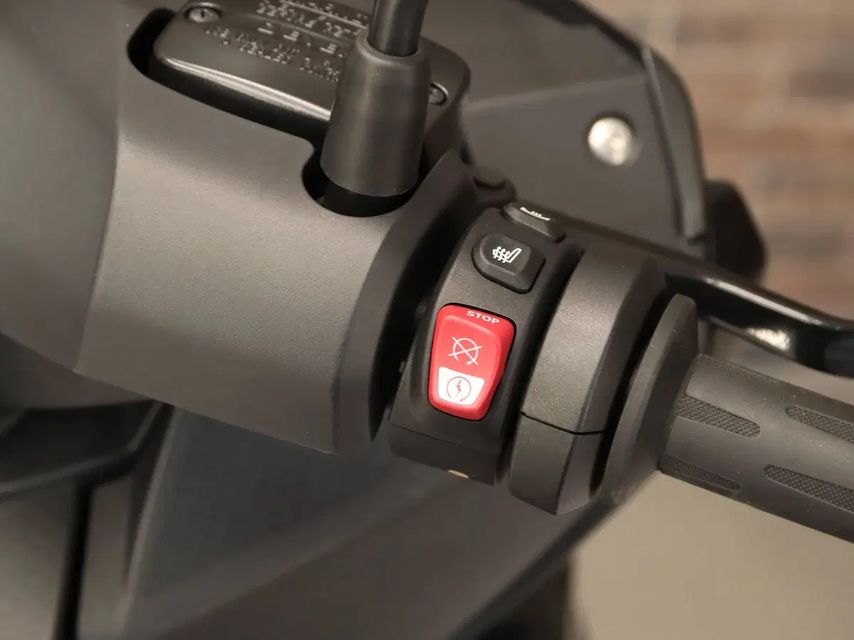 Bmw C 400 GT (2021 - 24) (13)