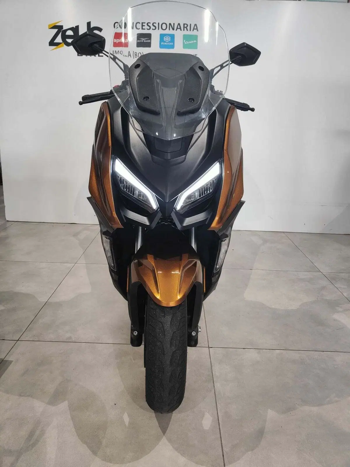 QJ Motor Fort 350 (2024) (2)