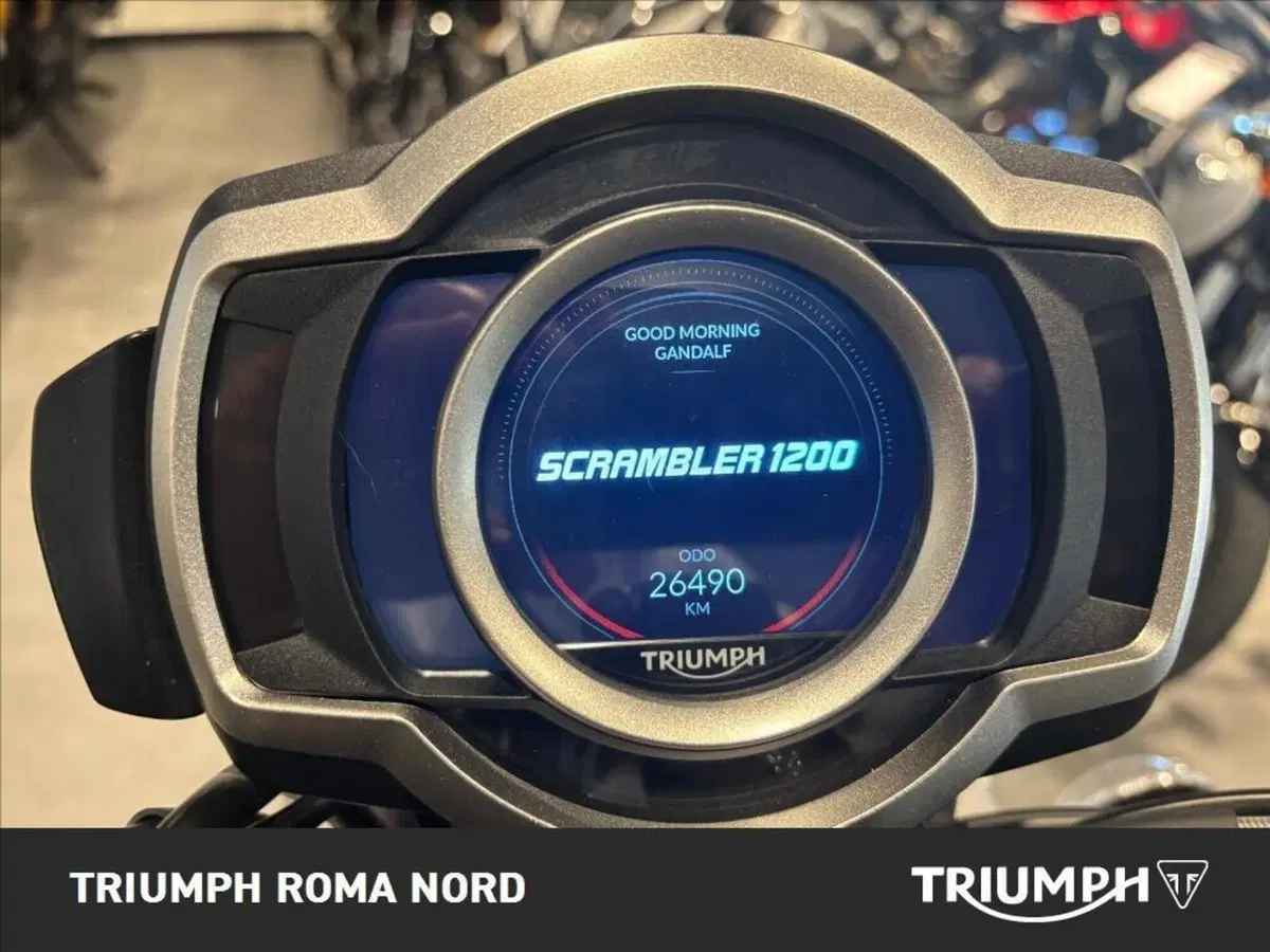 Triumph Scrambler 1200 XE (2024 - 25) (5)
