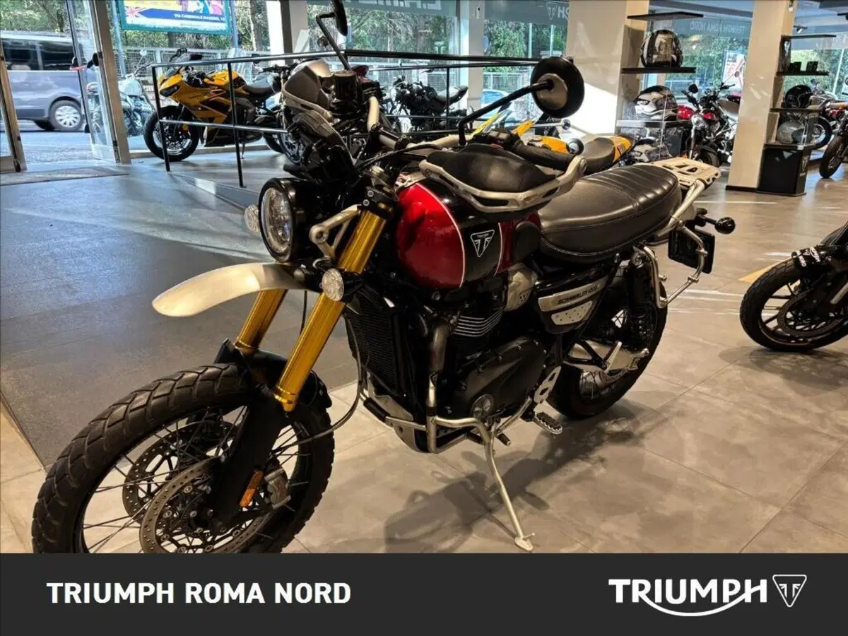 Triumph Scrambler 1200 XE (2024 - 25) (8)