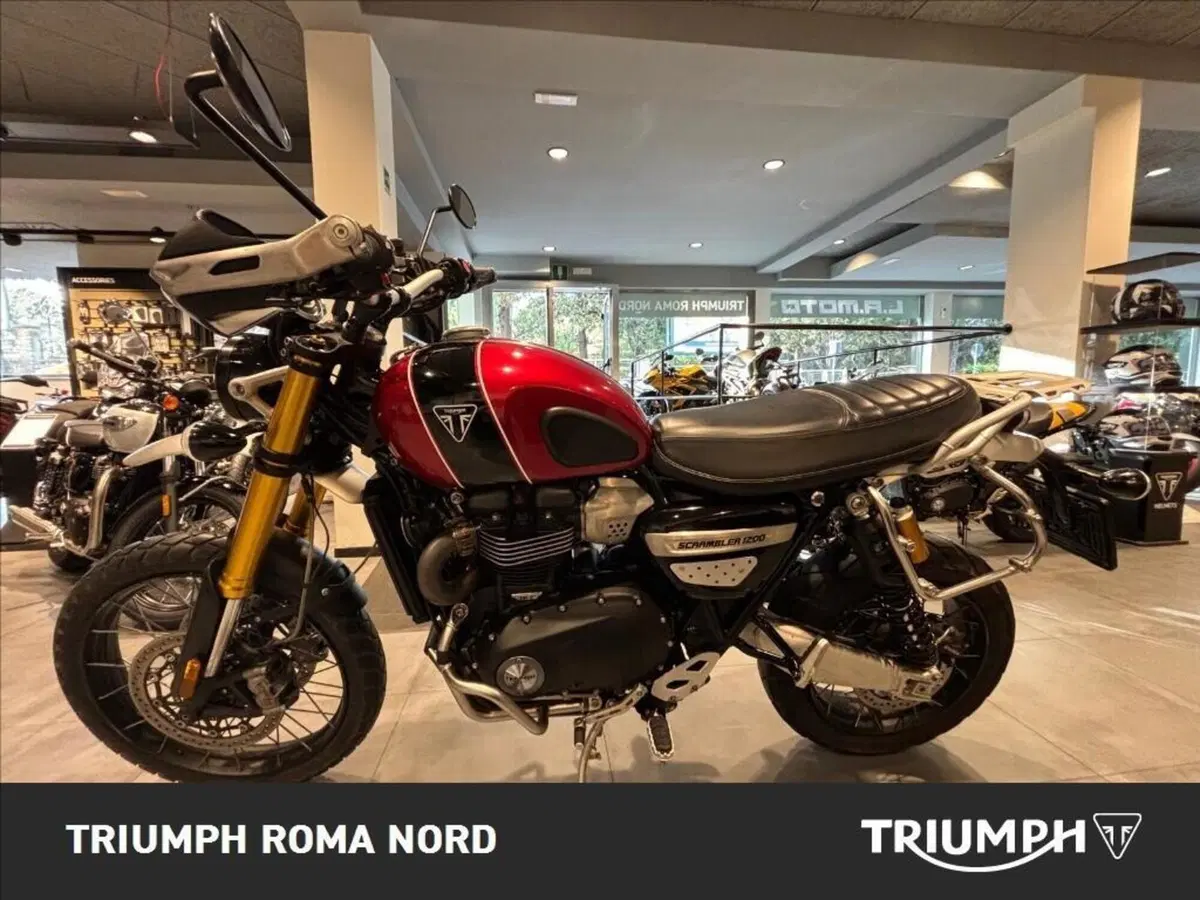 Triumph Scrambler 1200 XE (2024 - 25) (9)