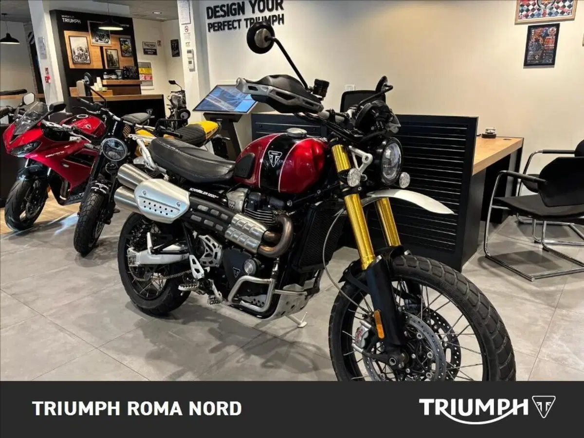 Triumph Scrambler 1200 XE (2024 - 25) (6)