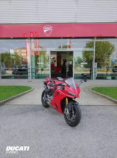 Ducati Panigale V2 S (2025 - 26) usata