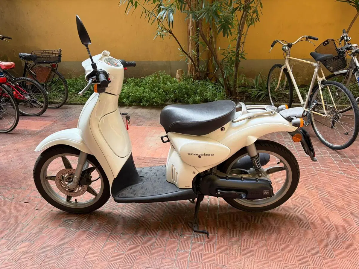Aprilia Scarabeo 50 (2002 - 03) (15)