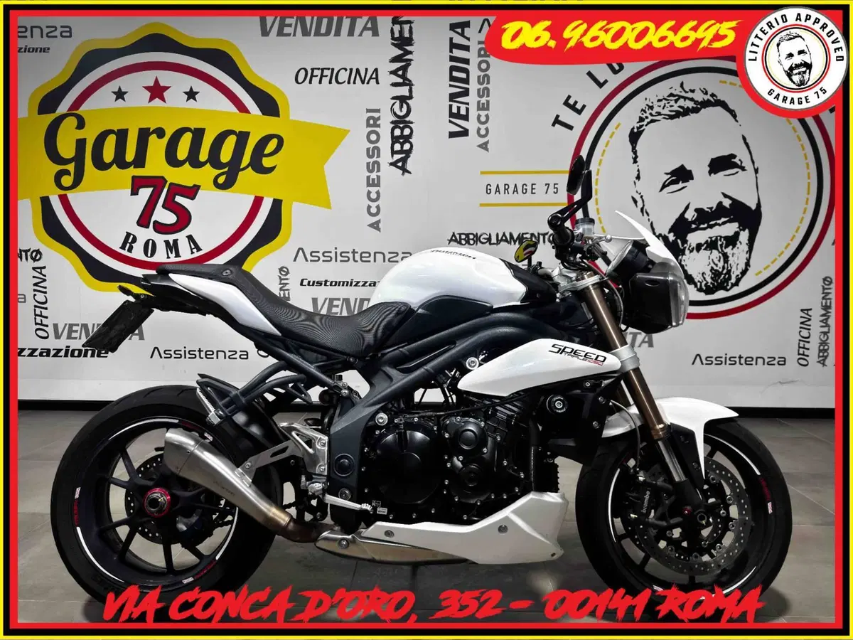Triumph Speed Triple 1050 (2011 - 13)