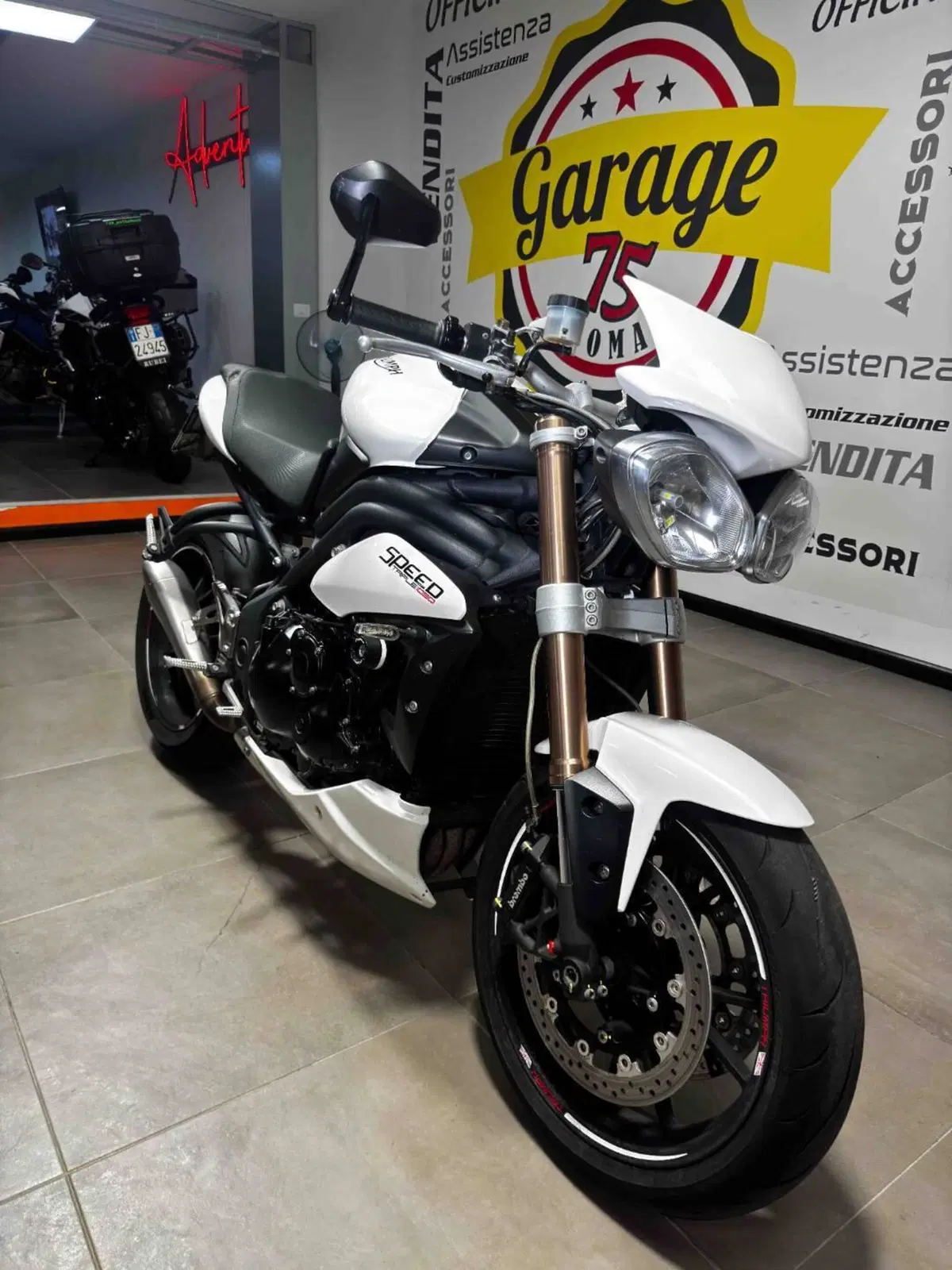 Triumph Speed Triple 1050 (2011 - 13) (2)