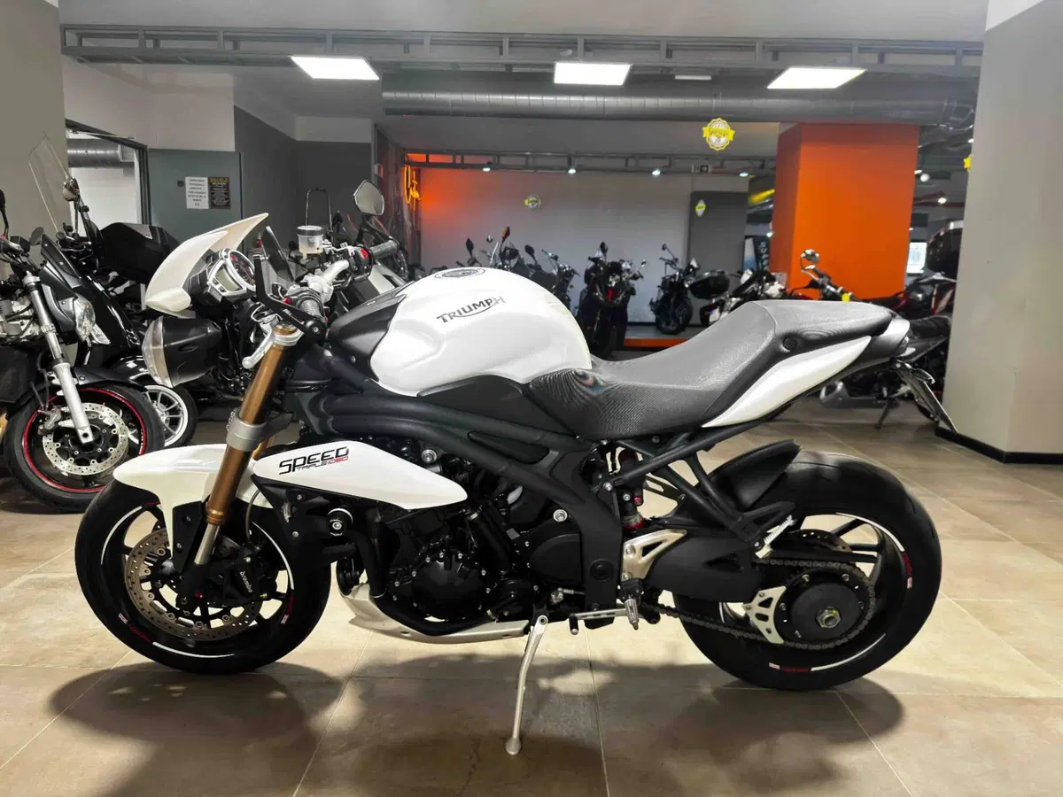Triumph Speed Triple 1050 (2011 - 13) (4)