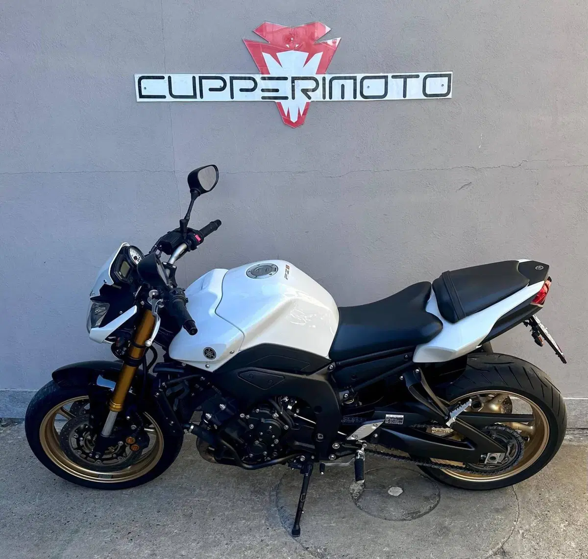 Yamaha FZ8 (2010 - 12) (4)