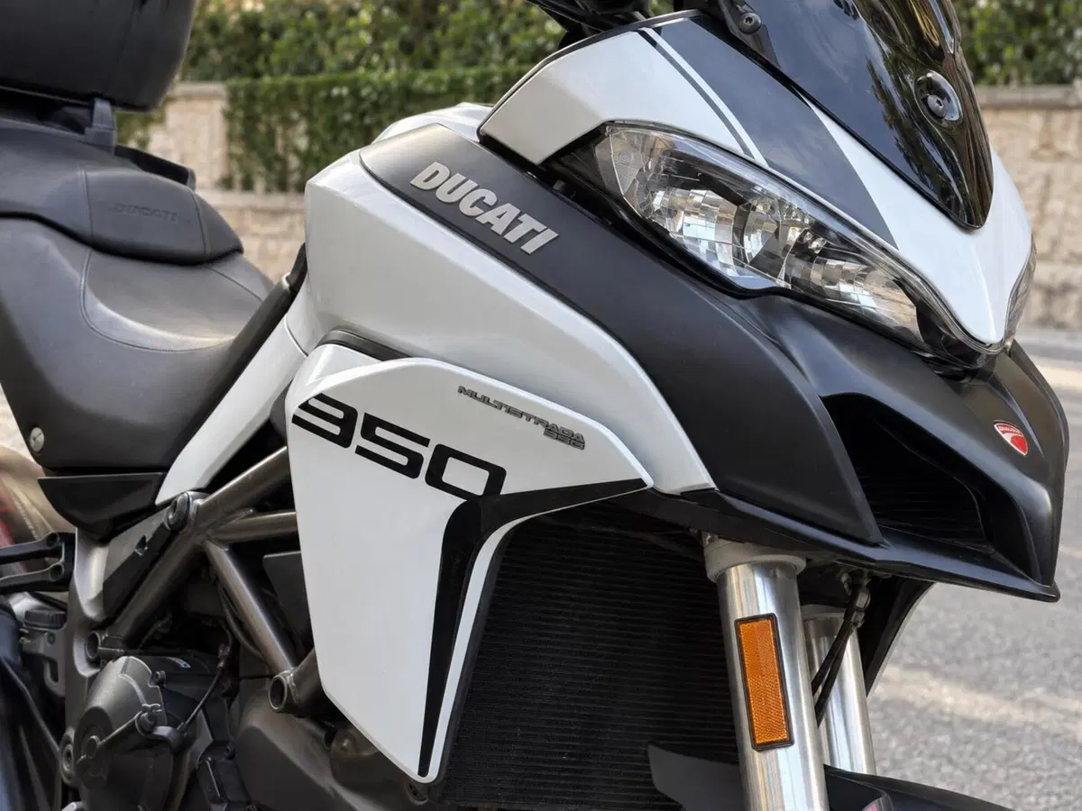Ducati Multistrada 950 (2018) (7)