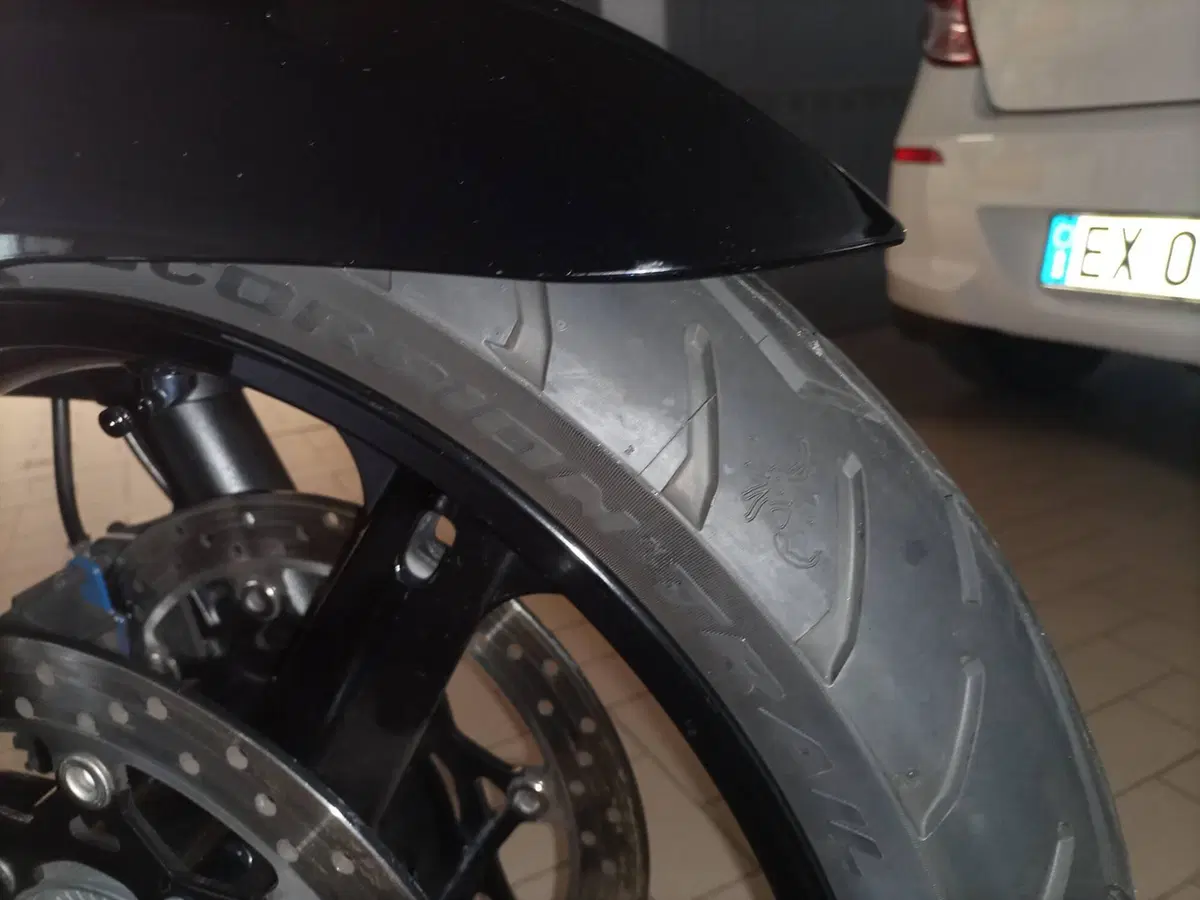Suzuki V-Strom 650 Traveller ABS (2008 - 11) (11)