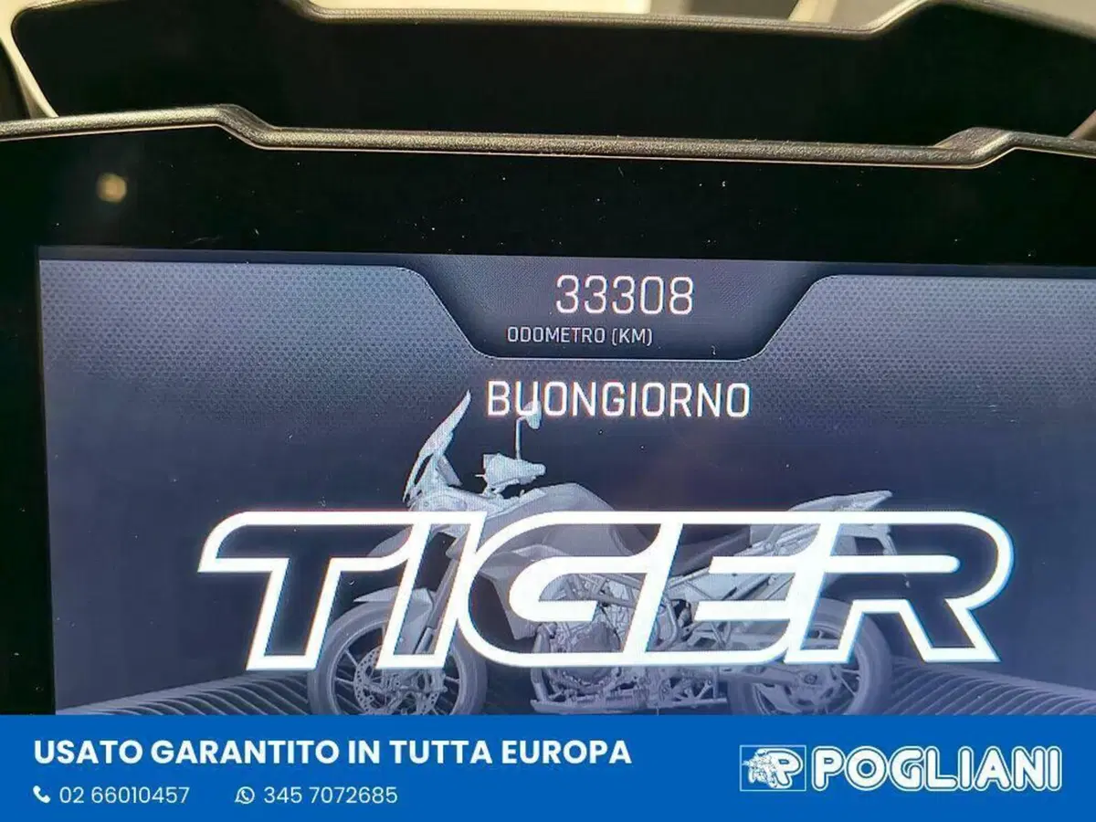 Triumph Tiger 900 GT Pro (2020 - 23) (6)