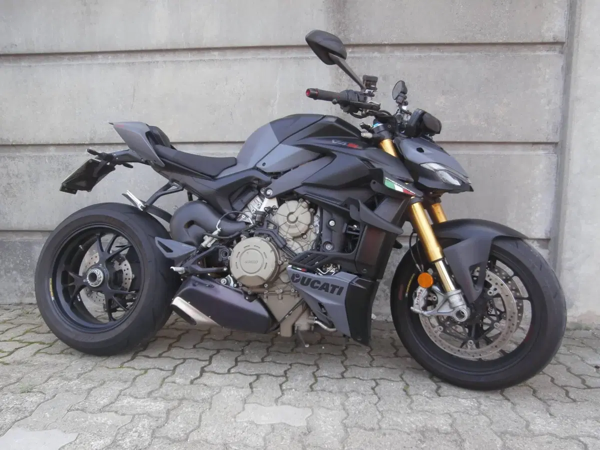 Ducati Streetfighter V4 S (2023 - 24) (7)