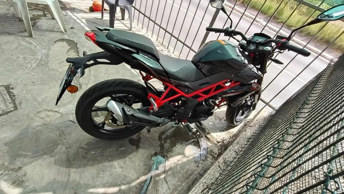 Benelli BN 125 (2021 - 25) (4)