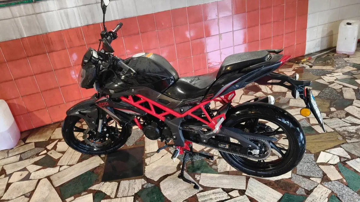 Benelli BN 125 (2021 - 25) (2)
