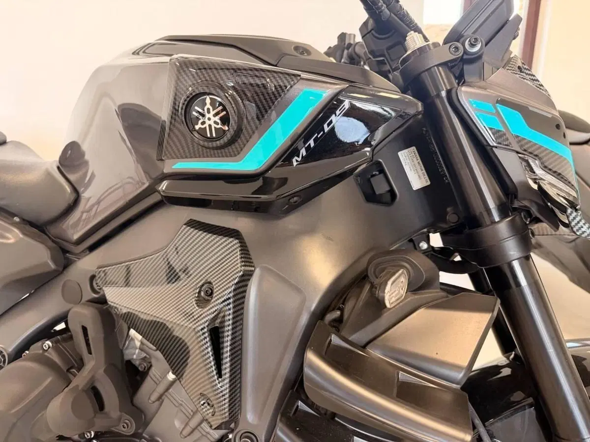 Yamaha MT-09 Y-AMT (2024 - 26) (2)