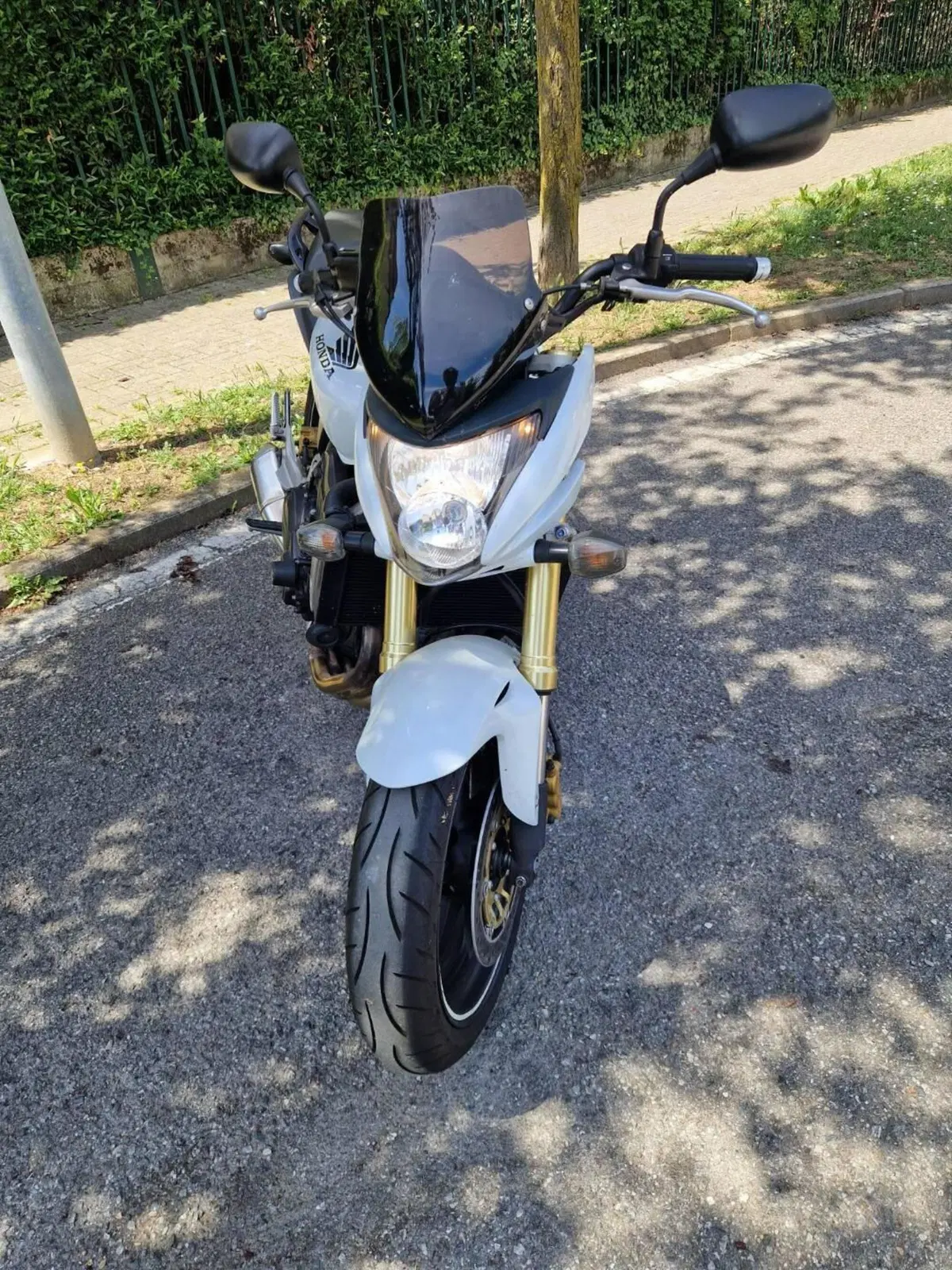 Honda Hornet 600 (2007 - 10) (4)