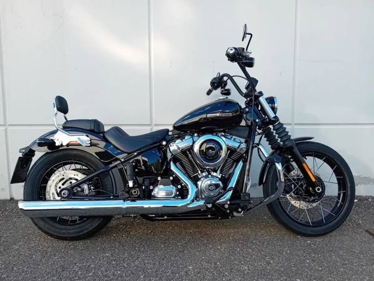 Harley-Davidson Street Bob 117 (2025 - 26)