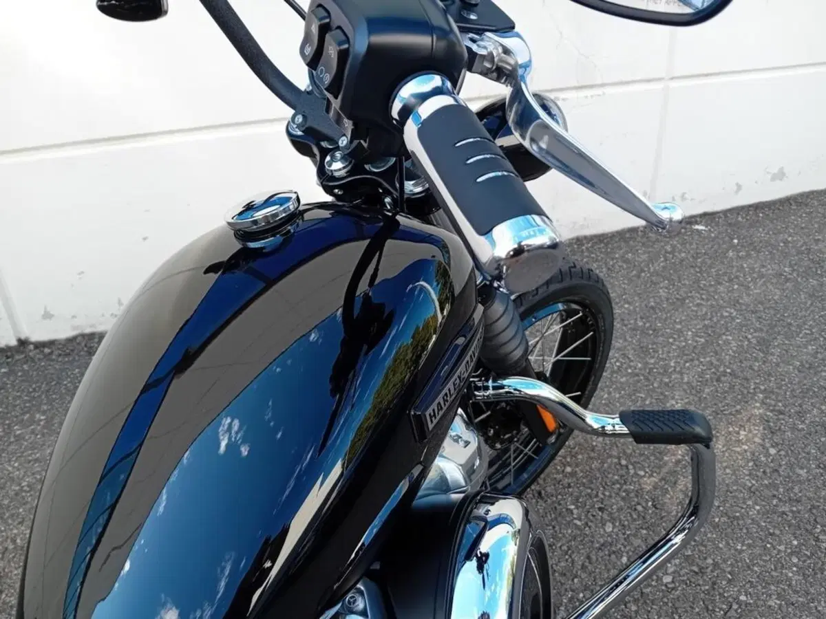 Harley-Davidson Street Bob 117 (2025 - 26) (5)