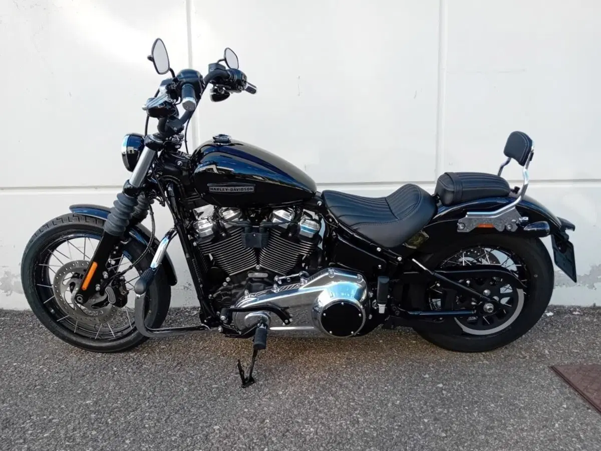 Harley-Davidson Street Bob 117 (2025 - 26) (2)