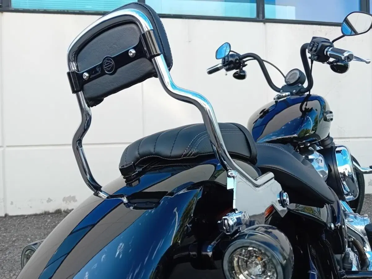 Harley-Davidson Street Bob 117 (2025 - 26) (6)