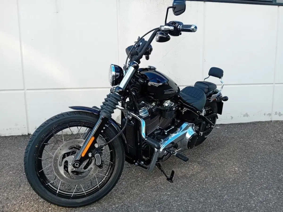 Harley-Davidson Street Bob 117 (2025 - 26) (3)