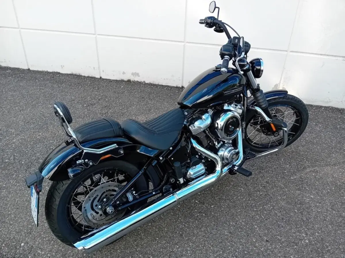 Harley-Davidson Street Bob 117 (2025 - 26) (4)