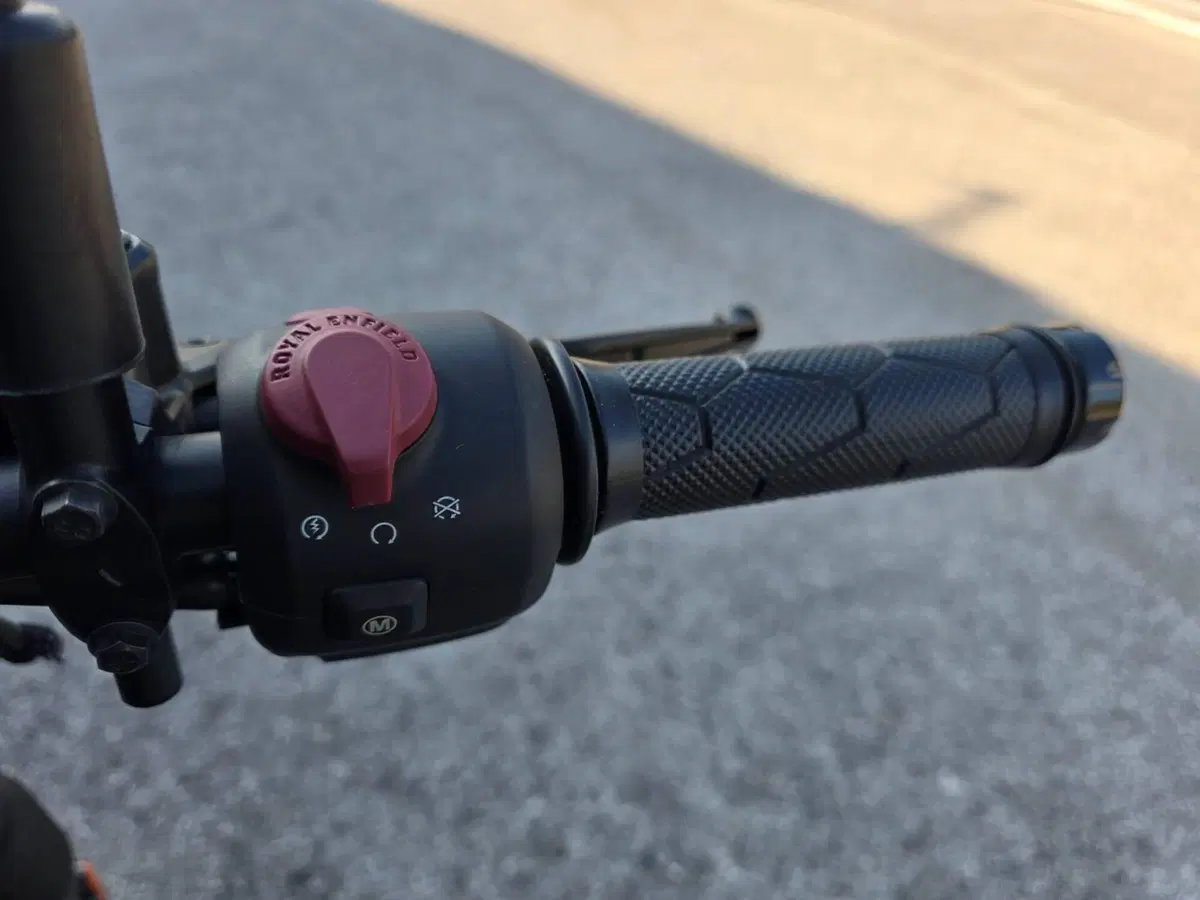 Royal Enfield Guerrilla 450 (2024 - 26) (6)