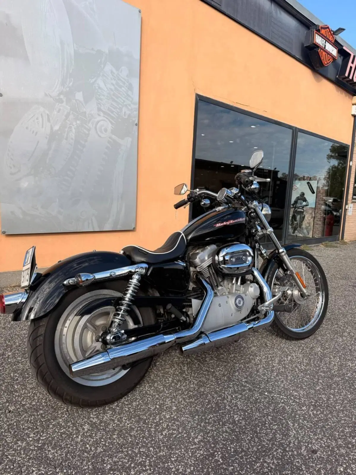 Harley-Davidson 883 Custom (2006 - 07) - XL 883C (5)