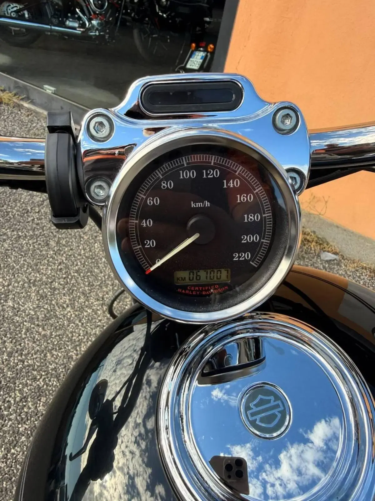 Harley-Davidson 883 Custom (2006 - 07) - XL 883C (12)