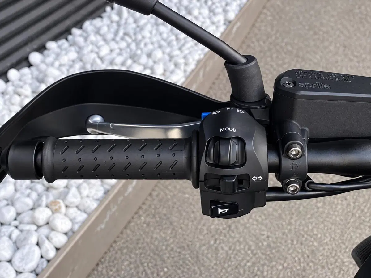 Aprilia Dorsoduro 900 (2017 - 20) (14)