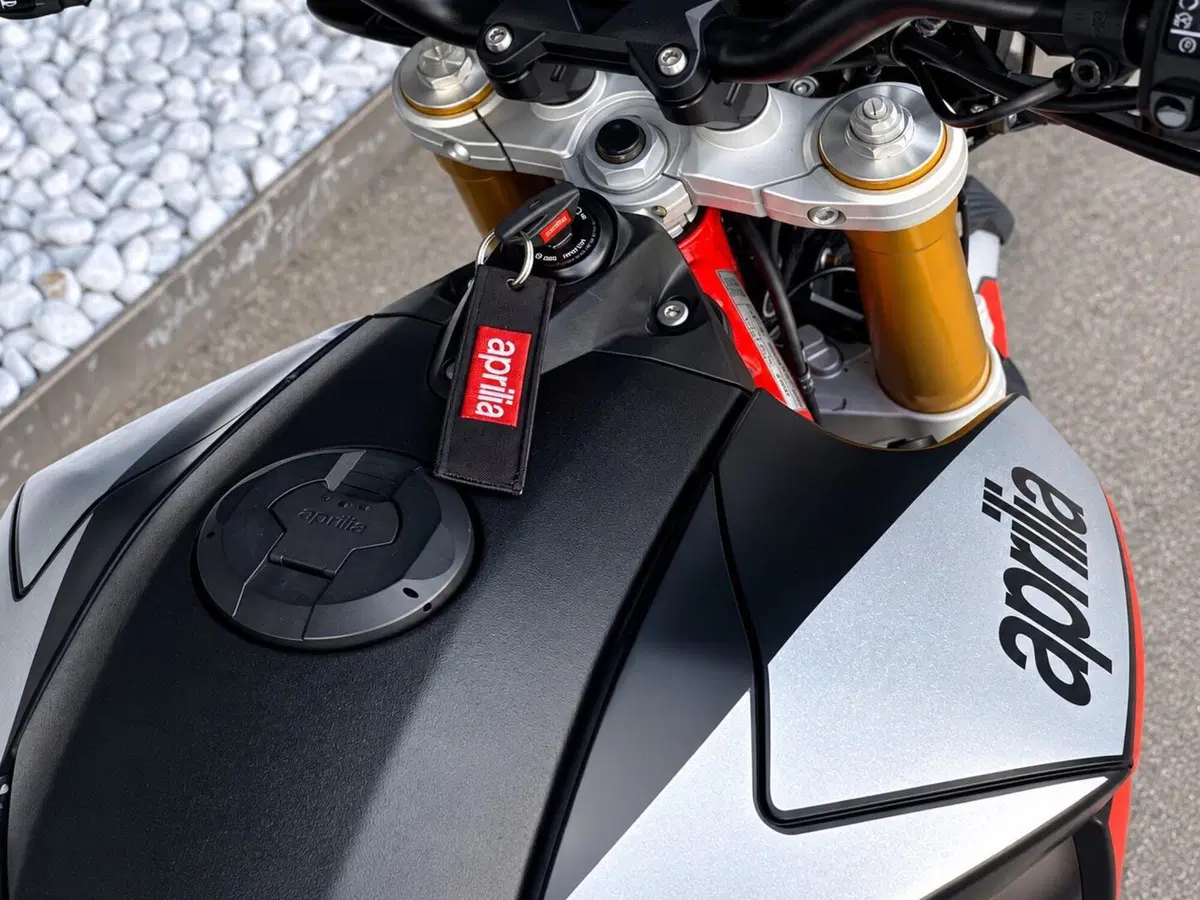 Aprilia Dorsoduro 900 (2017 - 20) (10)