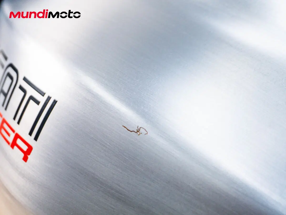 Ducati Monster 821 (2018 - 20) (14)