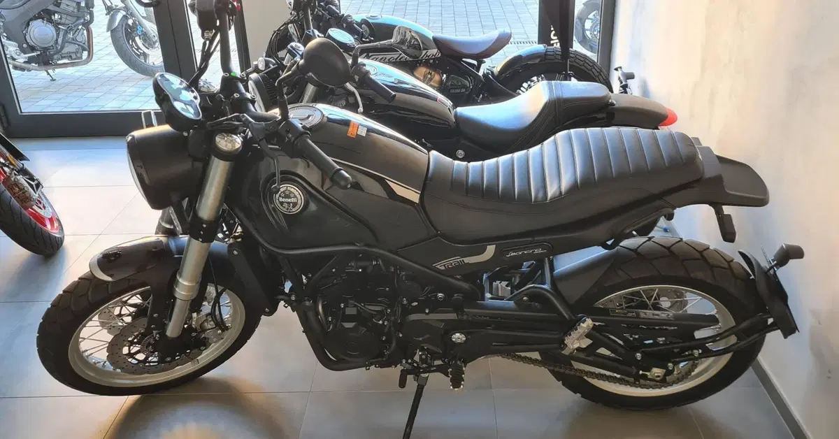Benelli Leoncino 500 (2021 - 25)